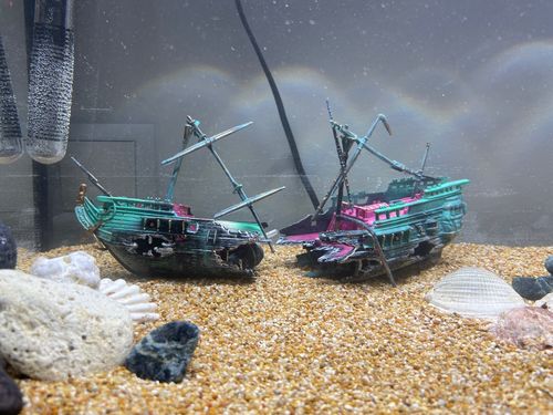 Large Shipwreck Aquarium Decoration photo review