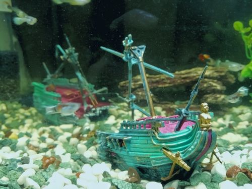 Large Shipwreck Aquarium Decoration photo review