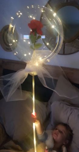 Led Luminous With Rose Balloon photo review