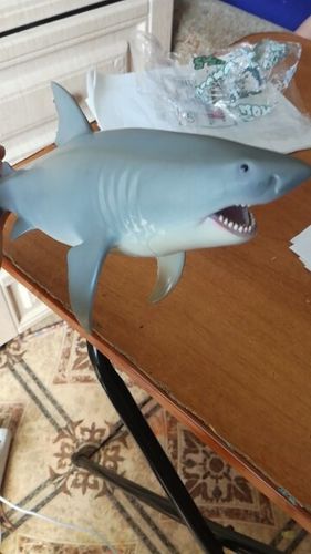 Lifelike Baby Shark photo review