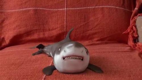 Lifelike Baby Shark photo review