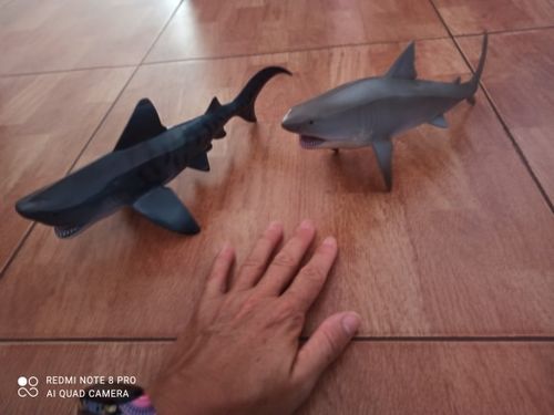 Lifelike Baby Shark photo review