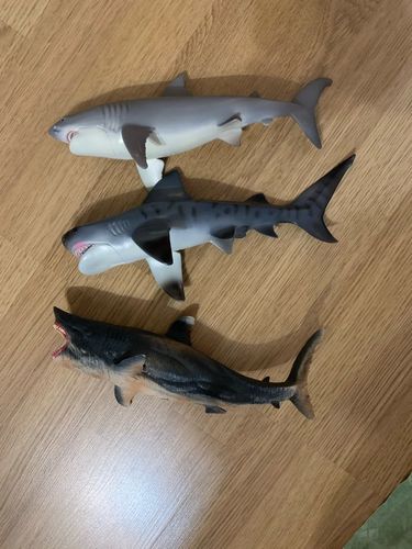 Lifelike Baby Shark photo review