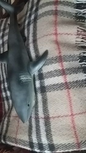 Lifelike Baby Shark photo review