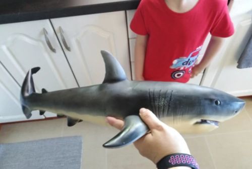 Lifelike Baby Shark photo review