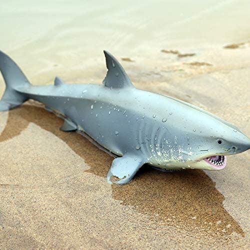 Lifelike Baby Shark photo review