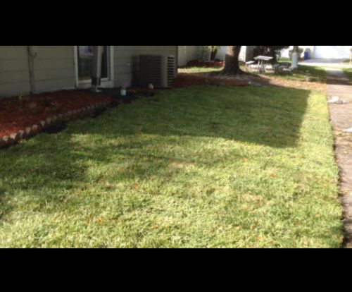 Liquid Lawn System photo review