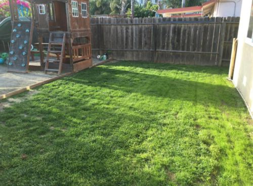 Liquid Lawn System photo review