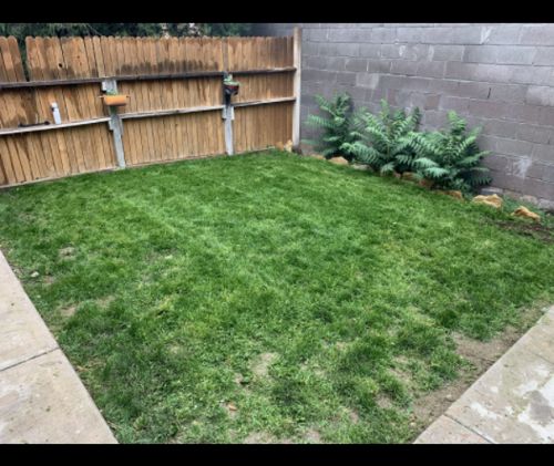 Liquid Lawn System photo review