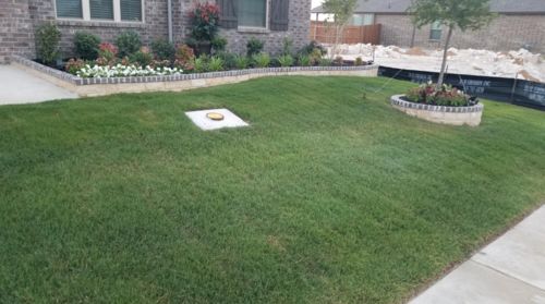 Liquid Lawn System photo review