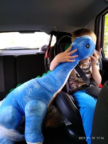 60/80/100 cm Long Neck Dino Pillow Plush 3D Stuffed Animal Brachiosaurus photo review