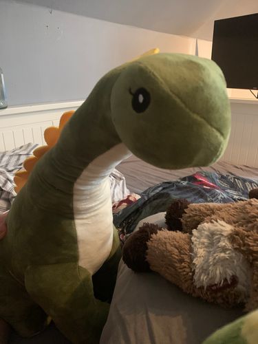 60/80/100 cm Long Neck Dino Pillow Plush 3D Stuffed Animal Brachiosaurus photo review