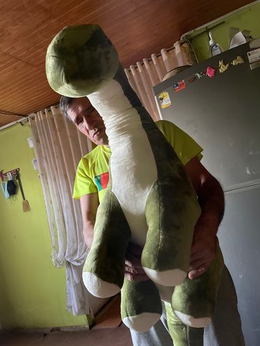 60/80/100 cm Long Neck Dino Pillow Plush 3D Stuffed Animal Brachiosaurus photo review