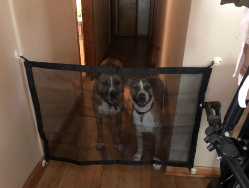 Magic Pet Gate photo review