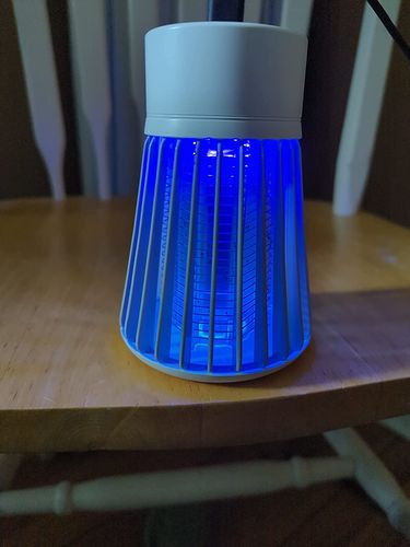 Mosquito Killer Lamp -  Electric Bug Zapper for Indoor & Outdoor (USB Rechargeable) photo review