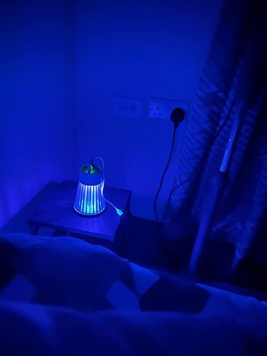 Mosquito Killer Lamp -  Electric Bug Zapper for Indoor & Outdoor (USB Rechargeable) photo review