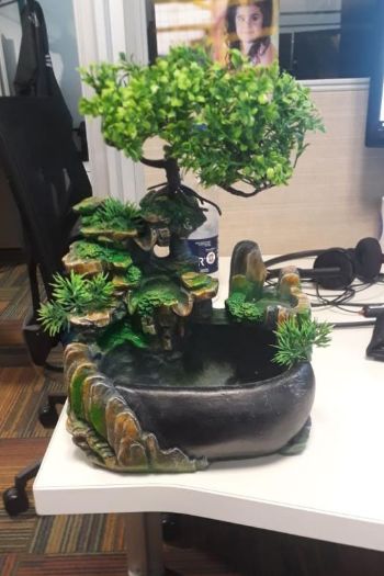 Mystic Garden Tabletop Fountain photo review