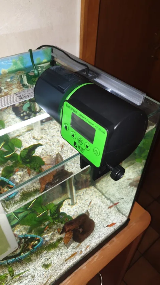 Automatic Fish Feeder photo review