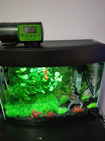 Automatic Fish Feeder photo review