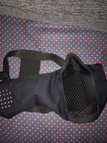 Tactical Foldable Mesh Mask With Ear Protection photo review