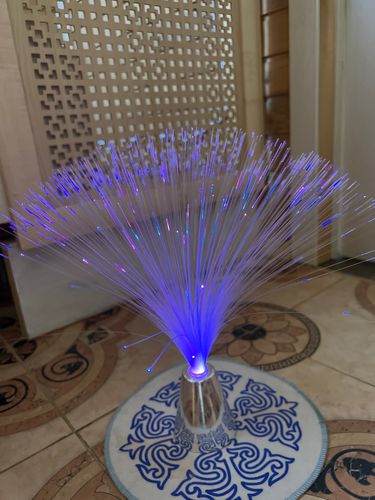 Optic Fiber Lamp photo review