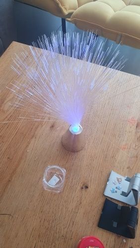 Optic Fiber Lamp photo review