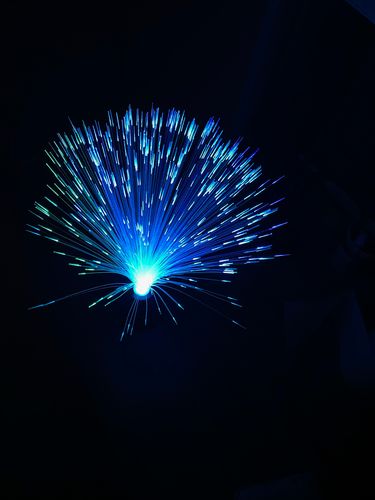 Optic Fiber Lamp photo review