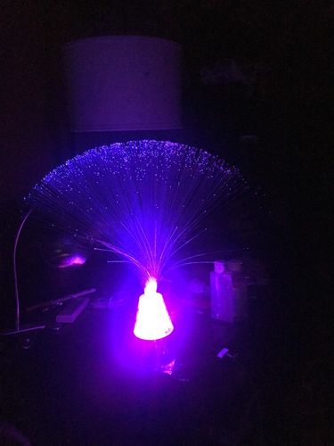 Optic Fiber Lamp photo review