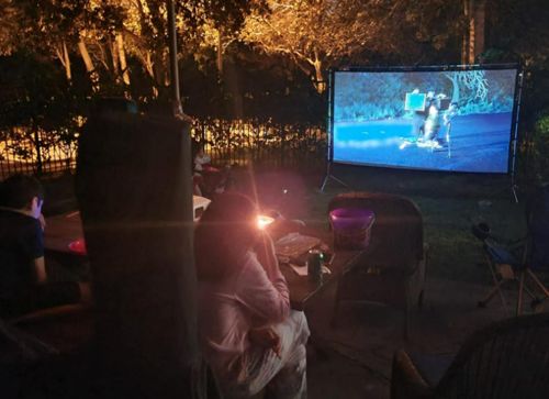 Outdoor Projector Screen (Up To 150 Inches) photo review