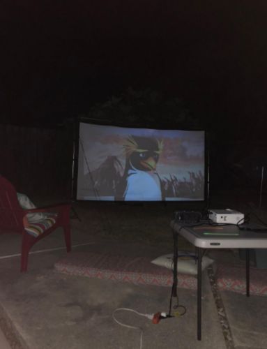 Outdoor Projector Screen (Up To 150 Inches) photo review