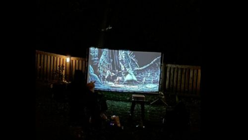 Outdoor Projector Screen (Up To 150 Inches) photo review