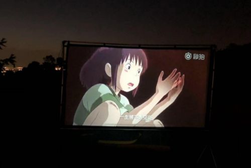 Outdoor Projector Screen (Up To 150 Inches) photo review