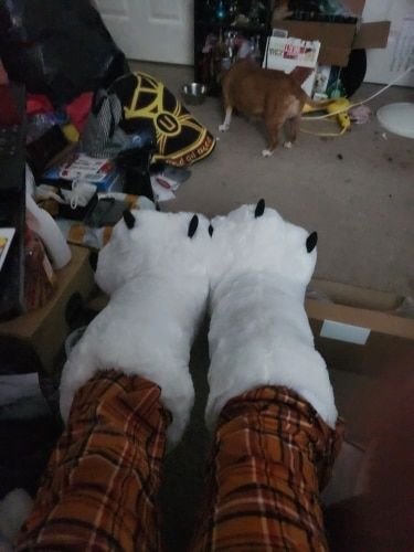 Oversized Bear Claw Winter Slippers photo review