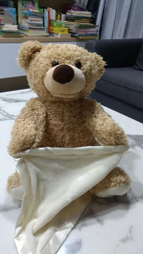 Peek-A-Boo Teddy Bear photo review