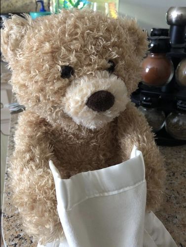 Peek-A-Boo Teddy Bear photo review