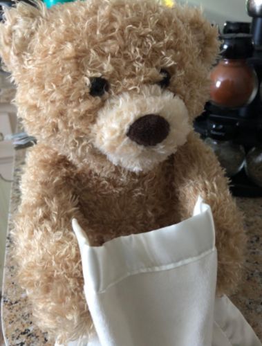 Peekaboo Teddy Bear photo review