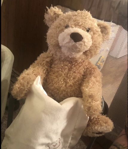 Peekaboo Teddy Bear photo review