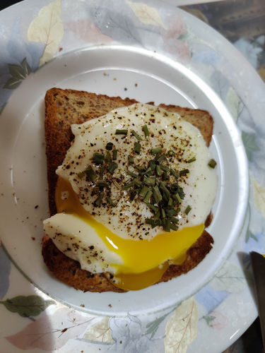 Perfect Poached Egg Maker photo review