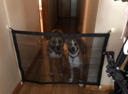 Petsjoy360 Dog Pet Or Baby Safety Gate Mesh Fence, Portable Indoor Barrier Net For Home Kitchen, Stairs And Bathroom photo review