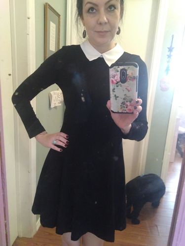 Peter Pan Collar Dress - Ms Frizzle Costume photo review