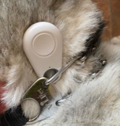 Pets Smart Mini Waterproof Gps Tracker With Battery photo review