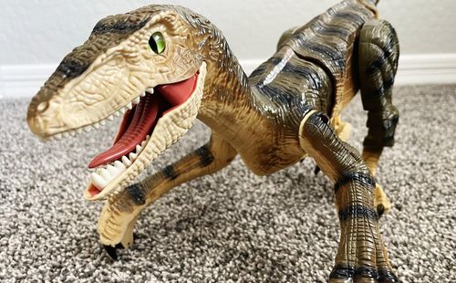 Remote Control Dinosaur photo review