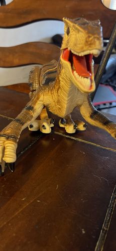 Remote Control Dinosaur photo review