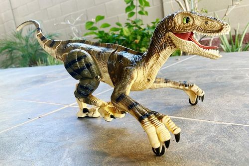 Remote Control Dinosaur photo review