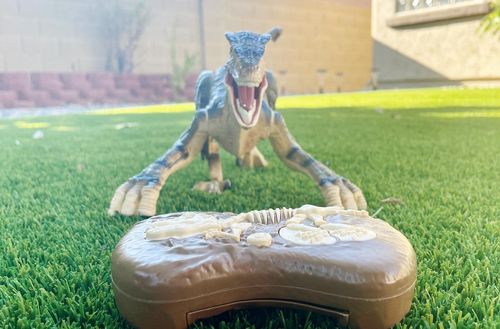 Remote Control Dinosaur photo review