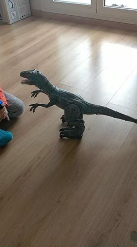 Remote Control Dinosaur photo review