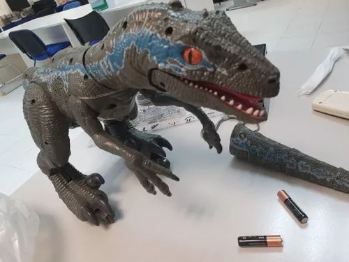 Remote Control Dinosaur photo review