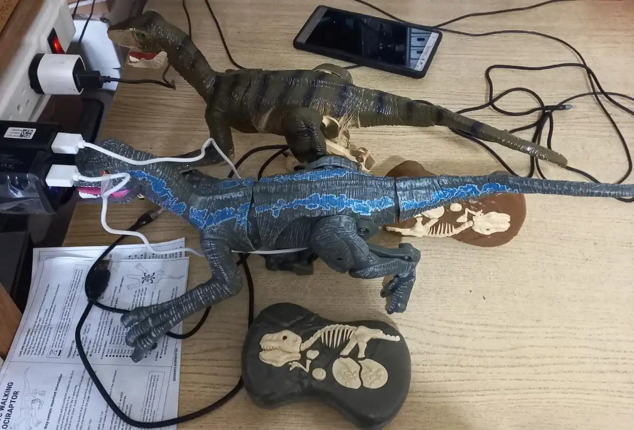 Remote Control Dinosaur Toy For Kids photo review