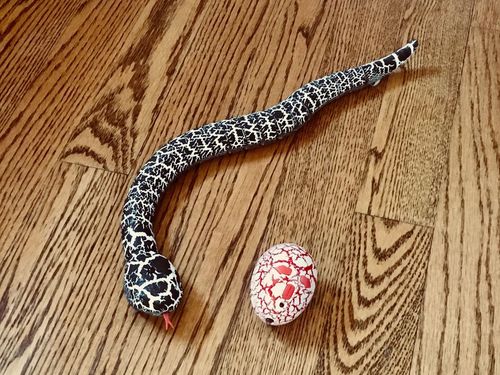 Remote Control Snake Toy For Cats photo review