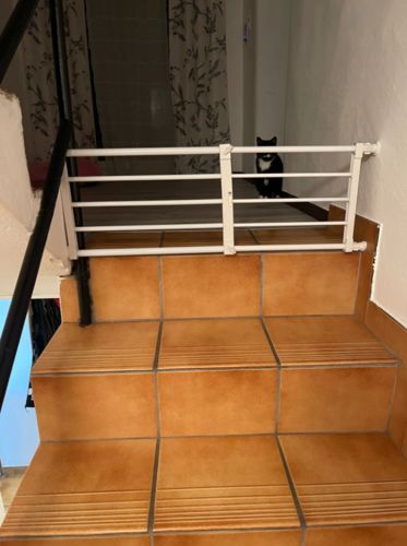 Retractable Dog Gate – Indoor Pet Barrier photo review